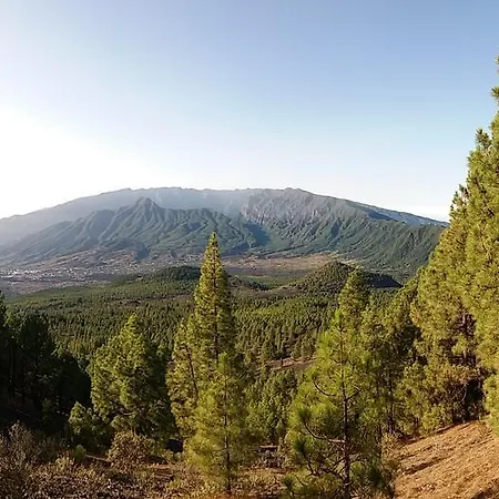 Atico La Seda * El Paso